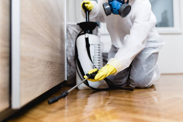 Best Pest Prevention Services  in Castleton On Hudson, NY