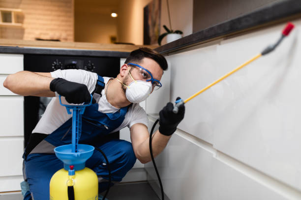 Best Flea Control Services  in Castleton On Hudson, NY