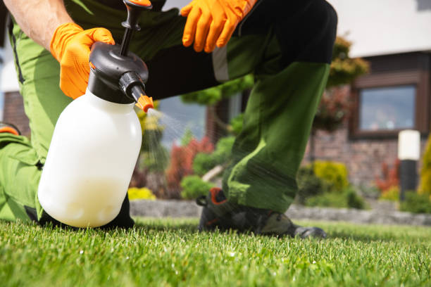Best Residential Pest Control  in Castleton On Hudson, NY