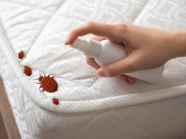 Pest Control Cost in Castleton On Hudson, NY